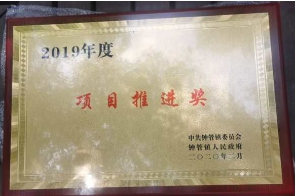 玩球直播获得多项政府奖励